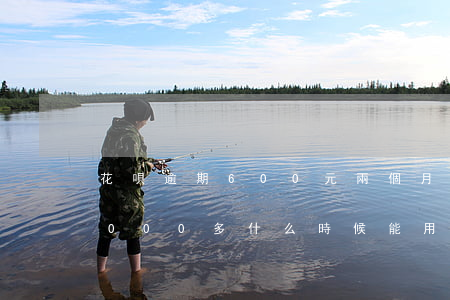 花唄逾期600元兩個月(花唄逾期6個月3000多什么時候能用)