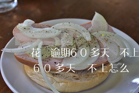 花唄逾期60多天還不上怎么辦-花唄逾期60多天還不上怎么辦呢