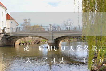 花唄逾期60天多久能用(花唄逾期600多天還了可以繼續(xù)使用嗎)