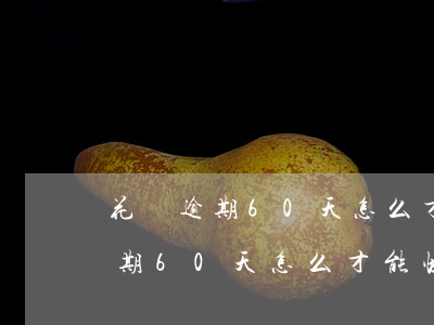 花唄逾期60天怎么才能快速恢復-花唄逾期60天怎么才能快速恢復正常