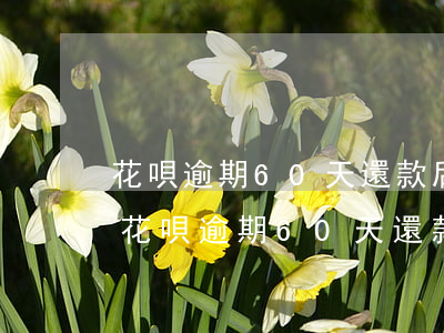 花唄逾期60天還款后好久恢復(fù)-花唄逾期60天還款后好久恢復(fù)額度