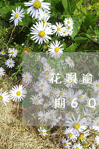 花唄逾期60天還款怎么恢復花唄-花唄逾期60天還款怎么恢復花唄額度