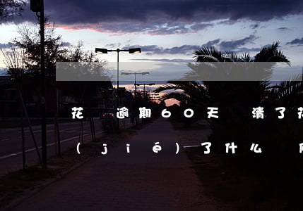 花唄逾期60天還清了(花唄逾期六天,被凍結(jié)了,什么時候能恢復)