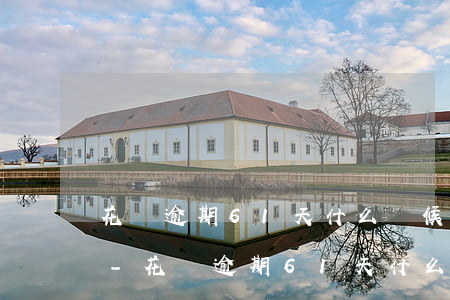 花唄逾期61天什么時候恢復(fù)使用-花唄逾期61天什么時候恢復(fù)使用額度