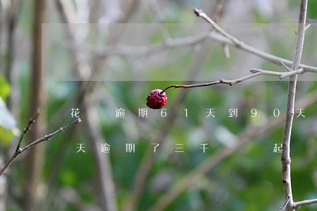 花唄逾期61天到90天(花唄逾期了150天逾期了三千塊說起訴我?)