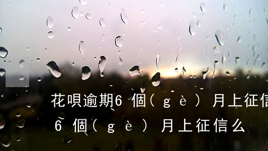 花唄逾期6個(gè)月上征信么(花唄逾期6個(gè)月上征信么)