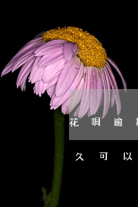 花唄逾期6個月了,現(xiàn)在還了,多久可以恢復使用（花唄逾期6個月 還了）