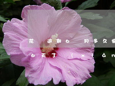 花唄逾期6個月多久恢復(fù)(花唄逾期6天了,現(xiàn)在還了,怎么可以恢復(fù)使用)