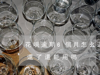 花唄逾期6個月怎么還(支付寶花唄逾期6天還了還能用嗎)