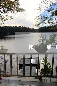 花唄逾期6個月無法使用多久恢復-花唄逾期6個月無法使用多久恢復正常
