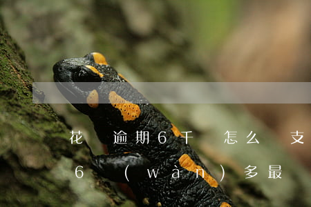 花唄逾期6千塊怎么辦(支付寶花唄借唄逾期6萬(wàn)多最嚴(yán)重處理結(jié)果?)