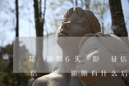 花唄逾期6天會影響征信(花唄逾期5天上征信嗎?花唄逾期有什么后果)