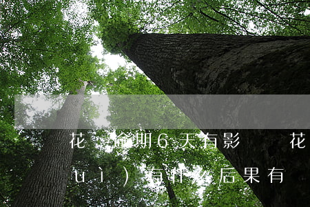 花唄逾期6天有影響嗎(花唄逾期5天會(huì)有什么后果?,有獎(jiǎng)問答)
