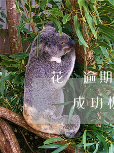 花唄逾期6天負面記錄(花唄負面記錄逾期申訴成功恢復花唄額度)