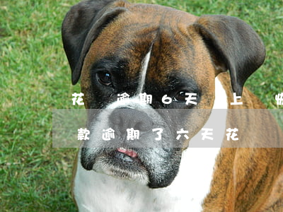 花唄逾期6天還上會恢復(fù)(還最低還款逾期了六天花唄還能恢復(fù)使用嗎)