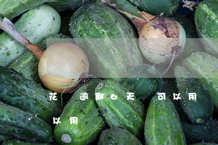 花唄逾期6天還可以用嗎(花唄逾期6天還可以用嗎)