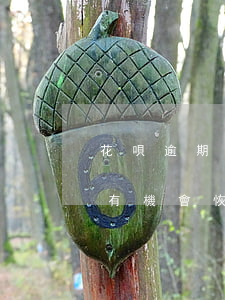 花唄逾期6天還能用嗎(花唄逾期了六個月還有機會恢復使用嗎?)