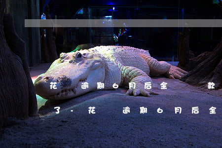 花唄逾期6月后全額還款就沒(méi)事了-花唄逾期6月后全額還款就沒(méi)事了嗎