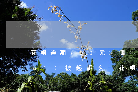 花唄逾期700元3個(gè)月了會(huì)被起訴么-花唄逾期700元3個(gè)月了會(huì)被起訴么嗎
