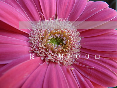 花唄逾期700百三個月