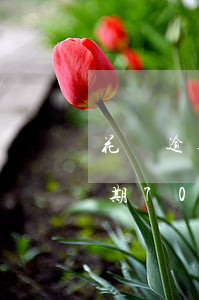 花唄逾期70天會(huì)怎么樣(花唄逾期70天會(huì)怎么樣)