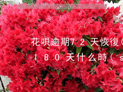 花唄逾期72天恢復(fù)使用(花唄逾期180 天什么時(shí)候可恢復(fù)使用)