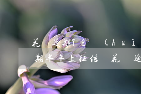 花唄逾期72會(huì)上征信不(花唄逾期半年上征信嗎?花唄逾期有什么后果)