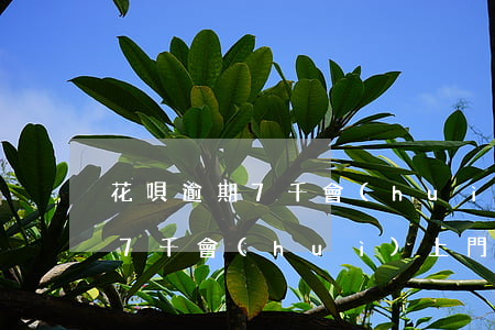 花唄逾期7千會(huì)上門嗎(花唄逾期7千會(huì)上門嗎)