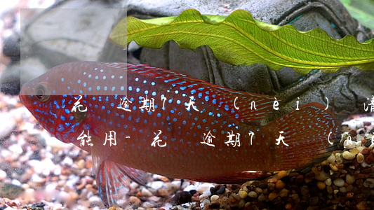花唄逾期7天內(nèi)還清,額度還是不能用-花唄逾期7天內(nèi)還清,額度還是不能用怎么辦