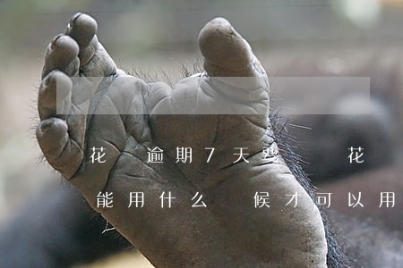 花唄逾期7天要緊嗎(花唄還款逾期了7天不能用什么時候才可以用)