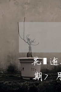 花唄逾期7月份真實(shí)截圖(花唄逾期7月份真實(shí)截圖)