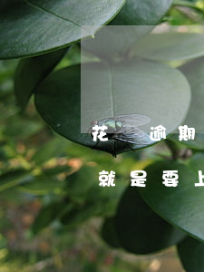 花唄逾期800多天催收來(lái)電話就是要上門(mén)-花唄逾期800多天催收來(lái)電話就是要上門(mén)是真的嗎