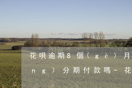 花唄逾期8個(gè)月了可以申請(qǐng)分期付款嗎-花唄逾期8個(gè)月了可以申請(qǐng)分期付款嗎