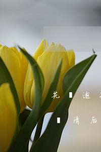 花唄逾期8個月天還清后(花唄逾期兩百多天還清后能繼續(xù)用花唄的有嗎)