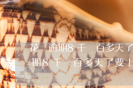花唄逾期8千兩百多天了要上門么-花唄逾期8千兩百多天了要上門么