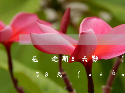 花唄逾期8天影響買(mǎi)房(花唄逾期了8天,現(xiàn)在還了,會(huì)影響征信嗎)