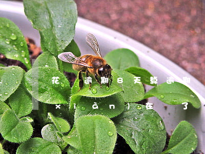 花唄逾期8天算逾期嗎(花唄逾期了8天,現(xiàn)在還了,會影響征信嗎)