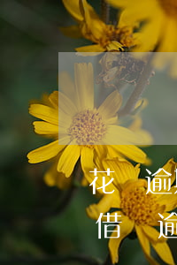 花唄逾期8天說上征信(花唄逾期5天上征信?借唄逾期幾天上征信)
