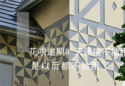 花唄逾期8天還能不能用(花唄逾期兩天是不是以后都不能用了?)