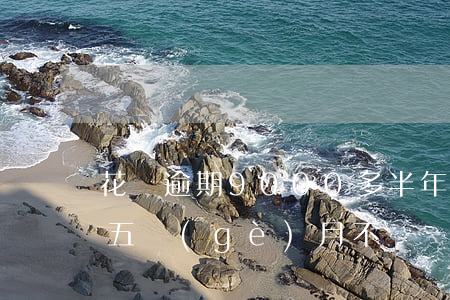 花唄逾期9000多半年(花唄2000逾期五個(gè)月不還會(huì)有什么后果)