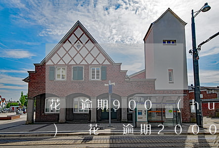 花唄逾期900會(huì)上門(mén)嗎(花唄逾期2000多不是惡意逾期會(huì)怎樣)