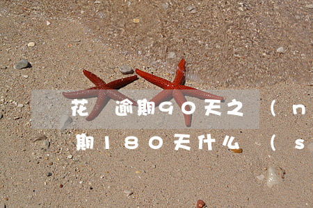 花唄逾期90天之內(nèi)還完(花唄逾期180 天什么時(shí)候可恢復(fù)使用)