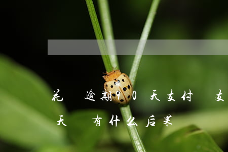 花唄逾期90天支付寶(支付寶花唄逾期10天會有什么后果)
