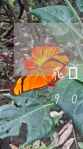 花唄逾期90天會(huì)怎樣(花唄逾期90天會(huì)怎樣)