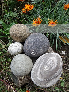 花唄逾期90天還清了多久能恢復(fù)-花唄逾期90天還清了多久能恢復(fù)使用資格