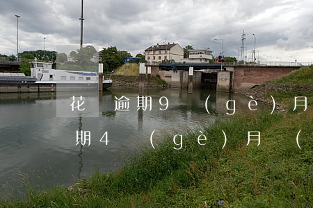 花唄逾期9個(gè)月已還清(花唄借唄逾期4個(gè)月現(xiàn)在要求全部結(jié)清)