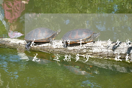 花唄逾期9千一般多久收到律師函-支付寶花唄逾期多少錢會收到律師函