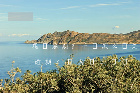 花唄逾期9千會怎么樣(欠花唄3000多元逾期8個月會上門嗎?)