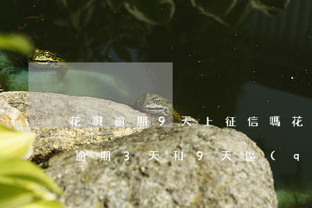 花唄逾期9天上征信嗎(花唄逾期幾天上征信?逾期3天和9天區(qū)別居然這么大!)