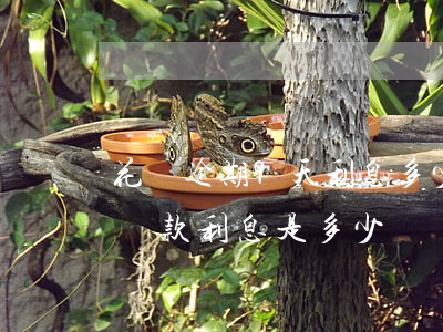 花唄逾期9天利息多少(花唄如果逾期10天還款,利息是多少錢)